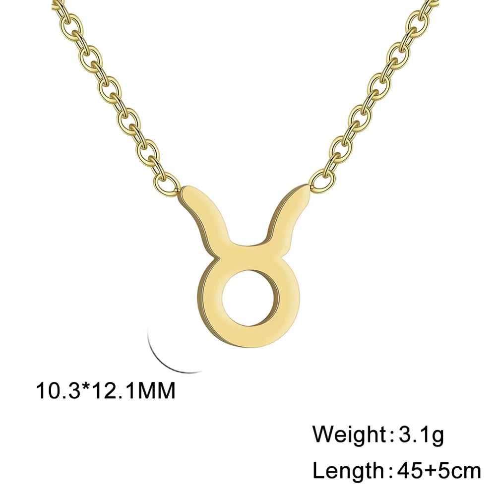 Stainless Steel Star Zodiac Sign Necklace 12 Constellation Pendant Necklace Women Aries Leo Virgo Gemini Libra Pisces Jewellery